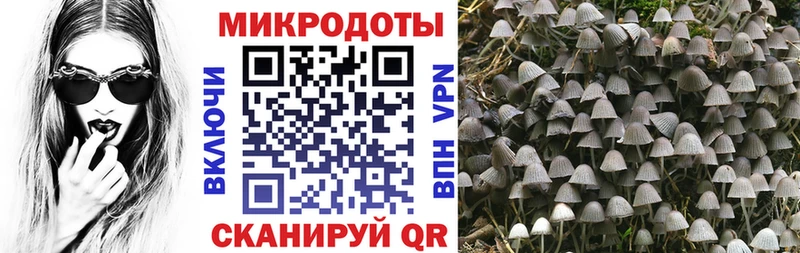 Купить закладки  Миллерово  Псилоцибиновые грибы GOLDEN TEACHER 